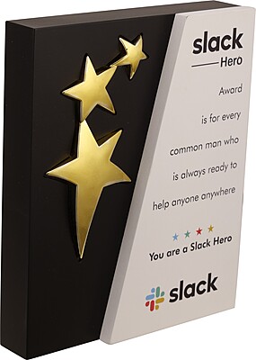 SLACK 2 IN 1 PLAQUES TROPHY