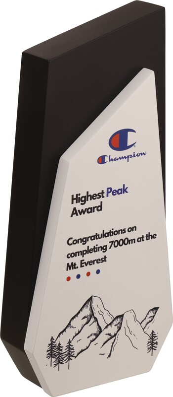 CHAMPION 2 IN 1 CUSTOM CUTOUT TROPHY