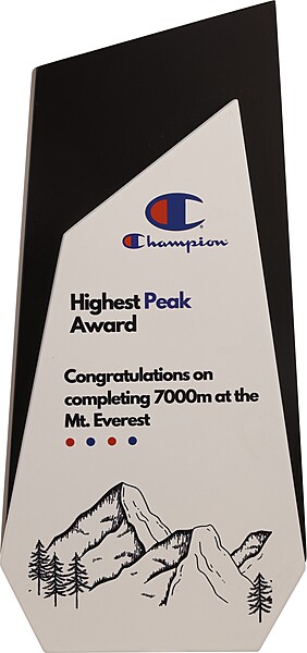 CHAMPION 2 IN 1 CUSTOM CUTOUT TROPHY